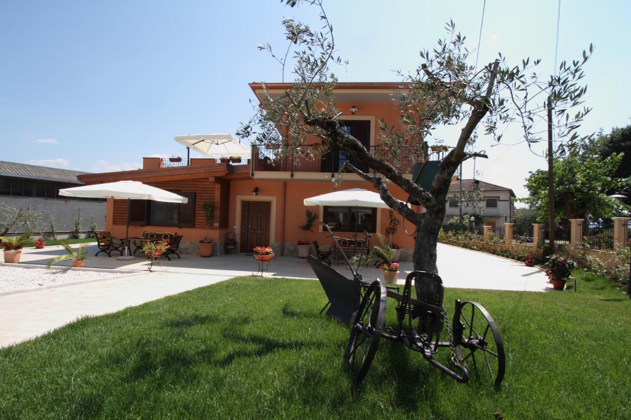 Azienda Agrituristica La Tenuta Del Falco Piedimonte San Germano Exterior photo