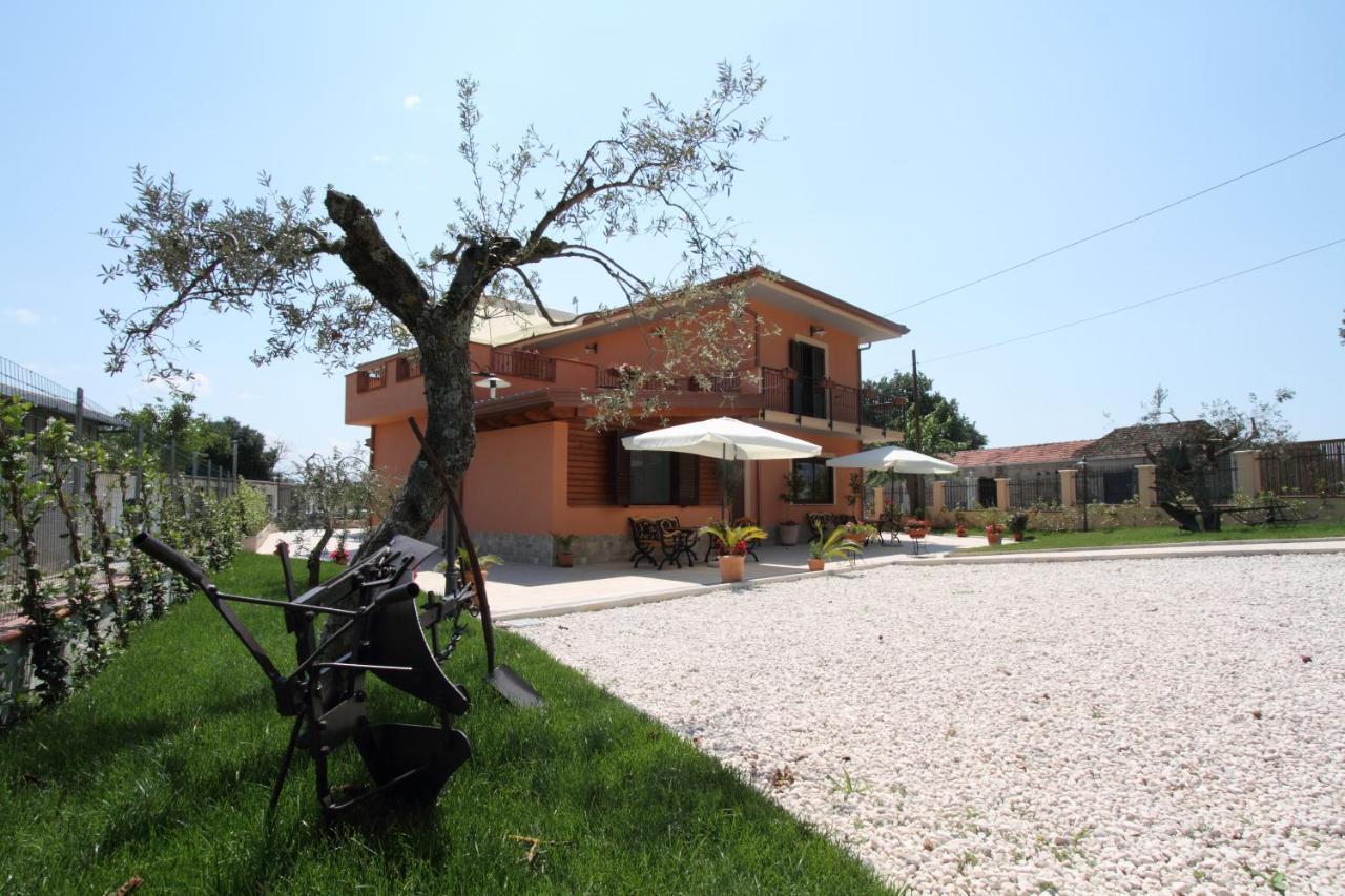 Azienda Agrituristica La Tenuta Del Falco Piedimonte San Germano Exterior photo
